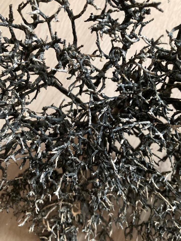 Decoratieve Tak - Mooie Sfeermaker, Huis en Inrichting, Woonaccessoires | Droogbloemen, Gebruikt, Ophalen