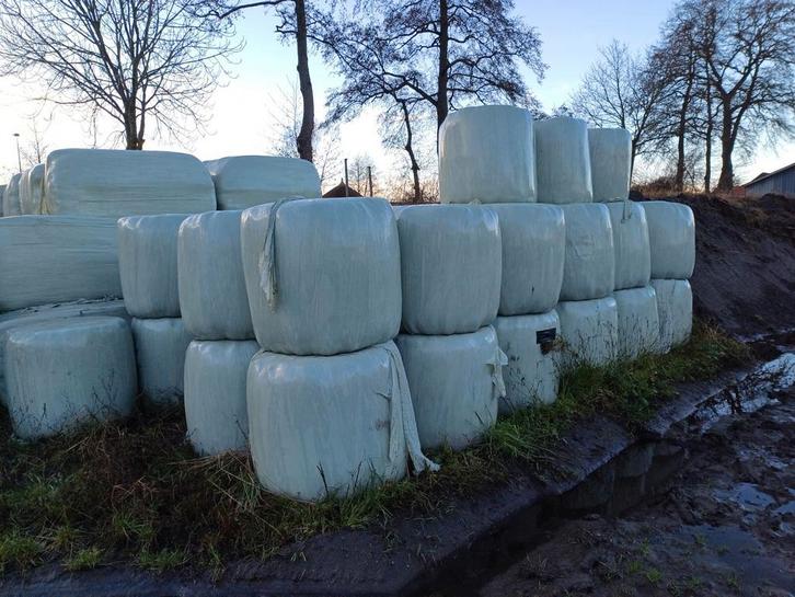 Midibalen 1e snede 2024 | ideaal voor paarden/pony's, Dieren en Toebehoren, Dierenvoeding, Vee, Ophalen of Verzenden