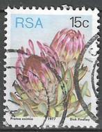 Zuid-Afrika 1977 - Yvert 426 - Breedbladige suikerstruik (ST, Verzenden, Zuid-Afrika, Gestempeld