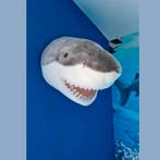 Haaien dierenkop kinderkamer decoratie, Ophalen, Vóór koninkrijk