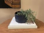 Raku Gestookte Indigo Blauwe Plantenbak,Wabi Sabi Aardewerk, Hobby en Vrije tijd, Pottenbakken, Ophalen of Verzenden, Gebruikt