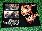 Alan Flyng in An American Werewolf In London, Ophalen of Verzenden, Nieuw, Foto of Kaart