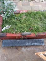 Opsluitbanden antraciet, Tuin en Terras, Bielzen en Borders, Ophalen, 100 tot 200 cm, Overige typen, Nieuw