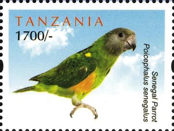 2011 Tanzania Fauna Papegaai - Borst Roller Masker wever beschikbaar voor biedingen