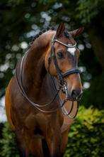 Stang en trens hoofdstel zwart, Dieren en Toebehoren, Paarden en Pony's | Hoofdstellen en Tuigage, Ophalen of Verzenden, Zo goed als nieuw