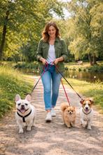 Uitlaat Hulp Hilversum, Uitlaatservice