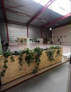 Handgemaakte bloemen/plantenbakken, Ophalen, Zo goed als nieuw, Vierkant, Hout