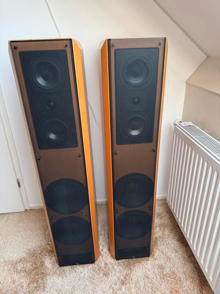 T+A Criterion TAL 140 transmissie lijn., Audio, Tv en Foto, Luidsprekers, Gebruikt, Front, Rear of Stereo speakers, 120 watt of meer