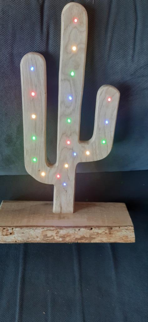 Kerstcactus, Diversen, Kerst, Nieuw, Ophalen of Verzenden