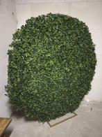 Backdrop decoratie achtergrond - kunst bladeren, Ophalen, Zo goed als nieuw, Minder dan 10 m²