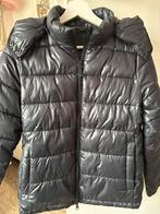 Paardrijjas merk Covalliero blauw maat 164, Dieren en Toebehoren, Paardrijkleding, Ophalen of Verzenden, Zo goed als nieuw, Bovenkleding