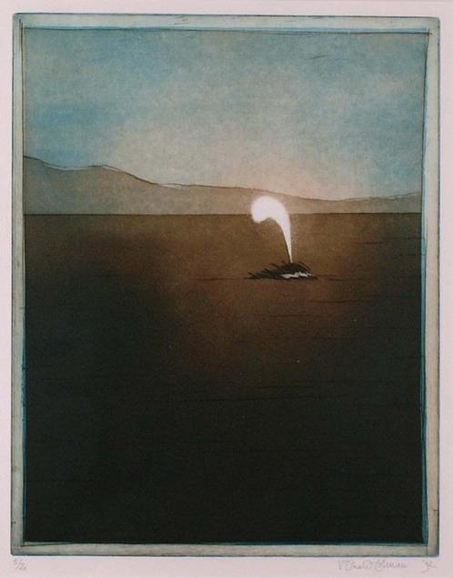 Kleuren-ets “Spuitende Walvis” door Ronald Tolman (1948), Antiek en Kunst, Kunst | Etsen en Gravures, Ophalen of Verzenden