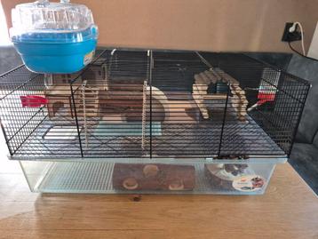 Hamster kooi beschikbaar voor biedingen