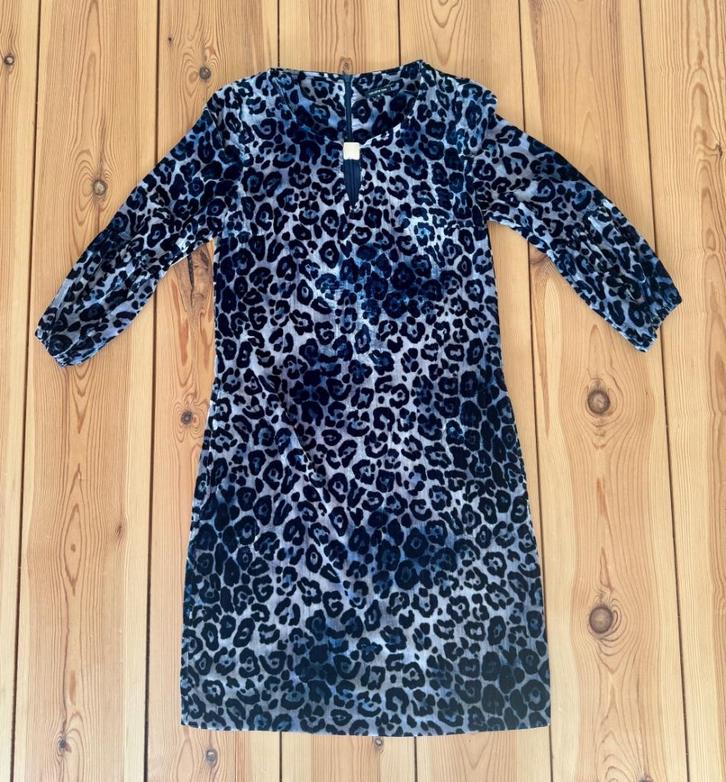 Caroline Biss jurk - Blauw Zwart Grijs - Maat 36 / Small, Kleding | Dames, Jurken, Zo goed als nieuw, Maat 36 (S), Blauw, Boven de knie