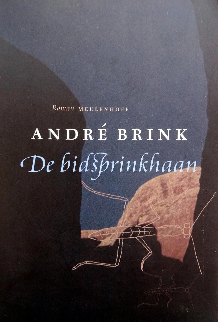 André Brink - De bidsprinkhaan, Boeken, Literatuur, Gelezen, Wereld overig, Ophalen of Verzenden