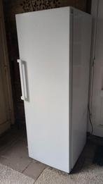 Hisense DEFECT !, Witgoed en Apparatuur, Vriezers en Diepvrieskisten, Ophalen, Niet werkend, Vrijstaand, 160 cm of meer