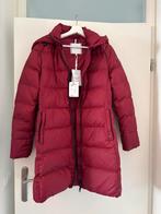 Tommy Hilfiger dames winterjas - M, Maat 38/40 (M), Nieuw, Ophalen of Verzenden, Rood