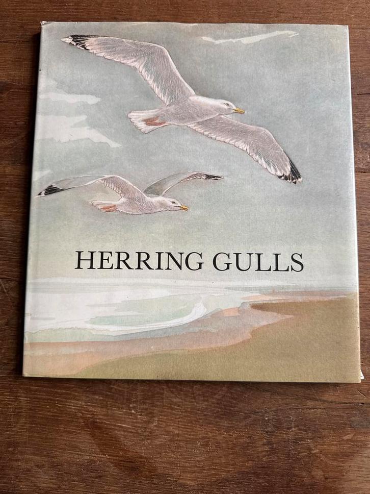 Herring Gulls - Boek over meeuwen, Boeken, Natuur, Zo goed als nieuw, Vogels, Ophalen of Verzenden