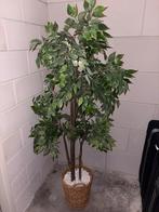 Mooie nepplant van IKEA, Ophalen, Zo goed als nieuw