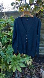 PAUW AMSTERDAM, VEST, CASHMERE, GRIJS, mt 2, L, ZGAN 🩶🩶, Kleding | Dames, Truien en Vesten, Verzenden, Maat 42/44 (L), Grijs