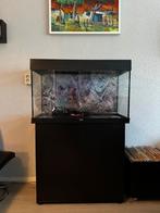 Juwel aquarium met meubel, Dieren en Toebehoren, Vissen | Aquaria en Toebehoren, Ophalen, Zo goed als nieuw, Leeg aquarium