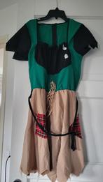 Carnavalsjurkje Vogelverschrikker Maat M/L, Ophalen of Verzenden, Zo goed als nieuw, Maat 38/40 (M), Carnaval