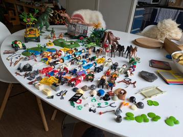 Grote Playmobile Verzameling - van vintage tot recent beschikbaar voor biedingen
