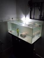 Aquarium  120 Liter met pomp en lamp, Dieren en Toebehoren, Vissen | Aquaria en Toebehoren, Ophalen, Zo goed als nieuw, Leeg aquarium