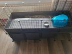 Cavia draadkubus kooi, Dieren en Toebehoren, Knaagdieren en Konijnen | Hokken en Kooien, Kooi, 60 tot 90 cm, Ophalen of Verzenden