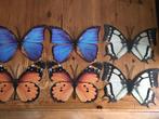 Decoratieve vlinders, Tuin en Terras, Tuinwanddecoratie, Ophalen of Verzenden