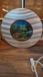Aquarium, Dieren en Toebehoren, Vis