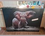 Enorme Olifanten lijst voor maar €10,-! Olifant Afrika, Huis en Inrichting, Woonaccessoires | Schilderijen, Tekeningen en Foto's
