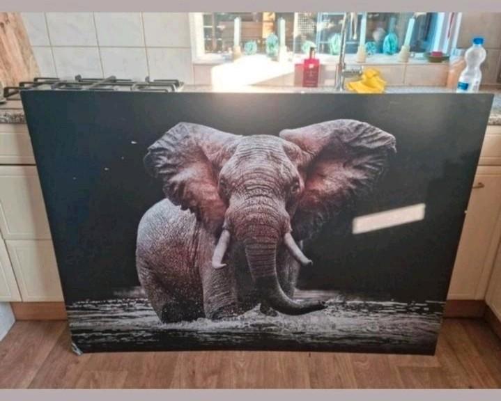 Enorme Olifanten lijst voor maar €10,-! Olifant Afrika, Huis en Inrichting, Woonaccessoires | Schilderijen, Tekeningen en Foto's