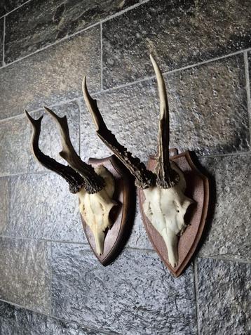 2 Mooie Ree Geweien samen € 19 Mancave Jacht Landelijk c39 beschikbaar voor biedingen
