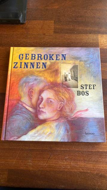 Stef Bos - Gebroken zinnen beschikbaar voor biedingen