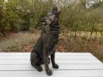 (Tuin)Beeld wolf, woonkamer, terras, tuin, 75 cm, Tuin en Terras, Tuinbeelden, Ophalen, Nieuw, Kunststof, Dierenbeeld