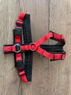 Anny x tuigje xs rood, Ophalen of Verzenden, Gebruikt