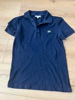 Lacoste polo maat xs volwassenen, Ophalen, Zo goed als nieuw, Maat 46 (S) of kleiner