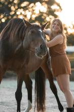Lieve merrie voor grondwerk, coaching of weidemaatje, Dieren en Toebehoren, Paarden, Merrie, Niet van toepassing, 160 tot 165 cm