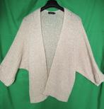 qtr  LEUK DAMES VEST van PESCARA Maat:M/L, Kleding | Dames, Truien en Vesten, Ophalen of Verzenden, Zo goed als nieuw, Maat 38/40 (M)