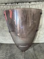 Kuipruit kawasaki ZX-10R 2007, Ophalen, Gebruikt