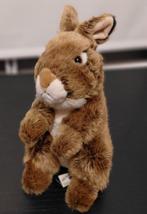 Konijnen Knuffel WWF, Ophalen of Verzenden, Zo goed als nieuw, Konijn
