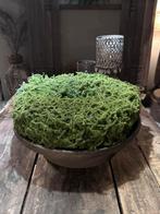 Kunst moskrans, Ophalen of Verzenden