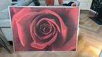 Roos IKEA Vilhurst, Ophalen
