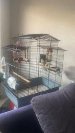 vogelkooi (zonder parkiet), Dieren en Toebehoren, Ophalen of Verzenden, Zo goed als nieuw, Metaal, Vogelkooi