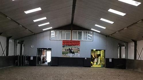 Stalling vrij op kleinschalige pensionstal in Leimuiden, Dieren en Toebehoren, Stalling en Weidegang, Stalling, 2 of 3 paarden of pony's