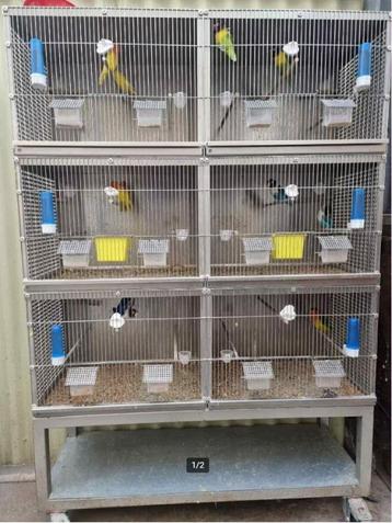 Fokkooi voor Vogels – Voor Papegaaien of Duiven beschikbaar voor biedingen