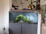 Eheim vivaline 240 grijs met kast en ledverlichting, Ophalen, Gebruikt, Leeg aquarium