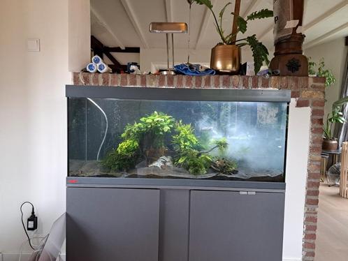 Eheim vivaline 240 grijs met kast en ledverlichting, Dieren en Toebehoren, Vissen | Aquaria en Toebehoren, Gebruikt, Leeg aquarium