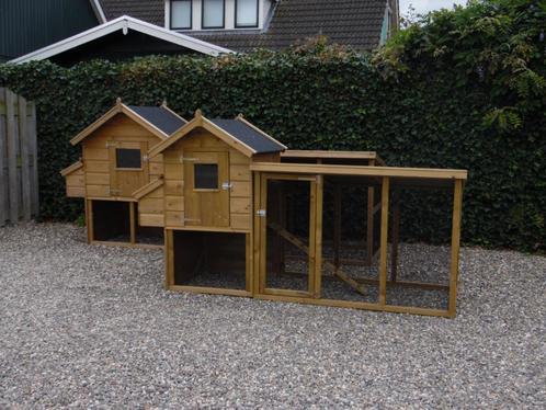 Kippen, kippenhokken, kippenspullen, alles in één !, Dieren en Toebehoren, Pluimvee, Kip, Vrouwelijk